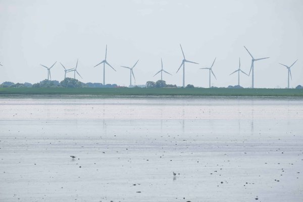 Quels sont les secrets pour organiser un débat communautaire sur les énergies renouvelables, incluant des experts et des résidents locaux ?